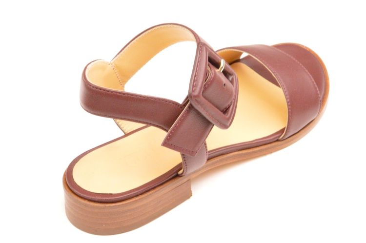 Atelier Content enkelriempje + gesp (enissa) - Schoenen New Van Herck (Turnhout)