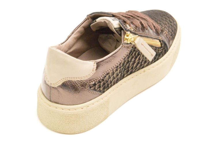 DL Sport + rits (6711) - Schoenen New Van Herck (Turnhout)