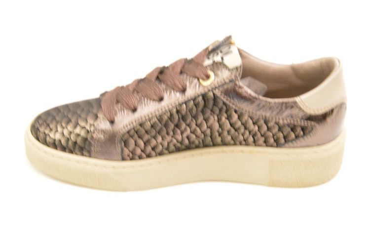 DL Sport + rits (6711) - Schoenen New Van Herck (Turnhout)