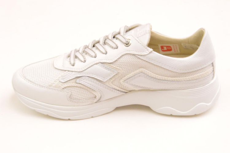 DL Sport sneaker  (6540) - Schoenen New Van Herck (Turnhout)