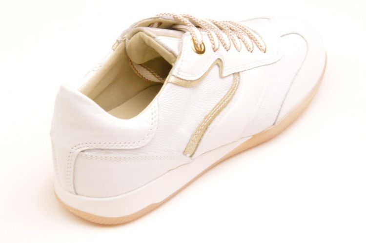 DL Sport sneaker  (6572) - Schoenen New Van Herck (Turnhout)