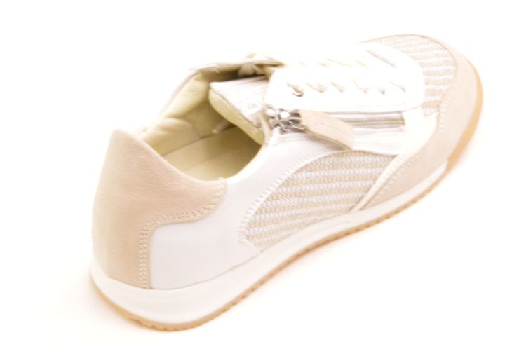 DL Sport sneaker + RITS (6954) - Schoenen New Van Herck (Turnhout)