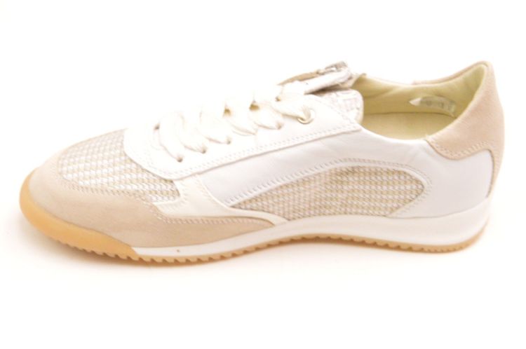 DL Sport sneaker + RITS (6954) - Schoenen New Van Herck (Turnhout)