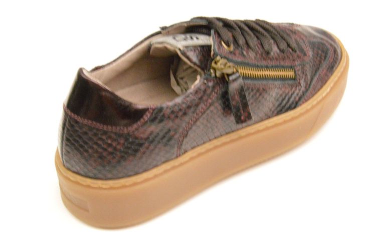 DL Sport sneakers + rits (7100) - Schoenen New Van Herck (Turnhout)