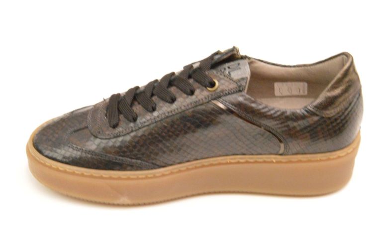 DL Sport sneakers + rits (7100) - Schoenen New Van Herck (Turnhout)