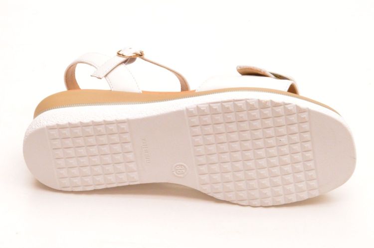 Facino donna enkelriepje (10400) - Schoenen New Van Herck (Turnhout)