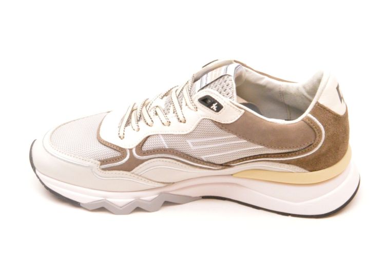 Floris Van Bommel sneaker (SFM-10198-34-01 de zager) - Schoenen New Van Herck (Turnhout)