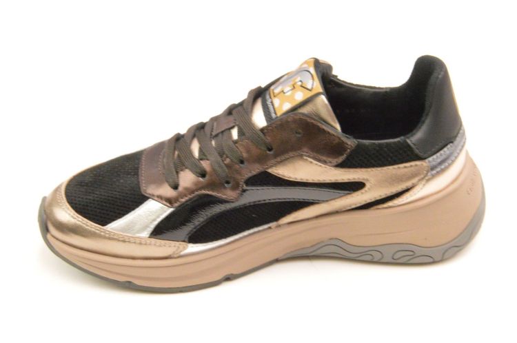 Floris Van Bommel sneaker (sfw-10141-92-01 holli) - Schoenen New Van Herck (Turnhout)