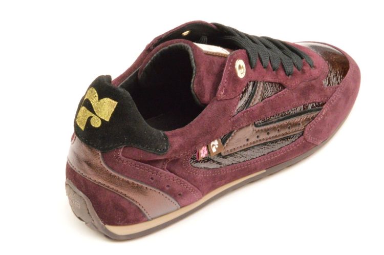 Floris Van Bommel sneaker (sfw-10150-81-01 iiivi) - Schoenen New Van Herck (Turnhout)