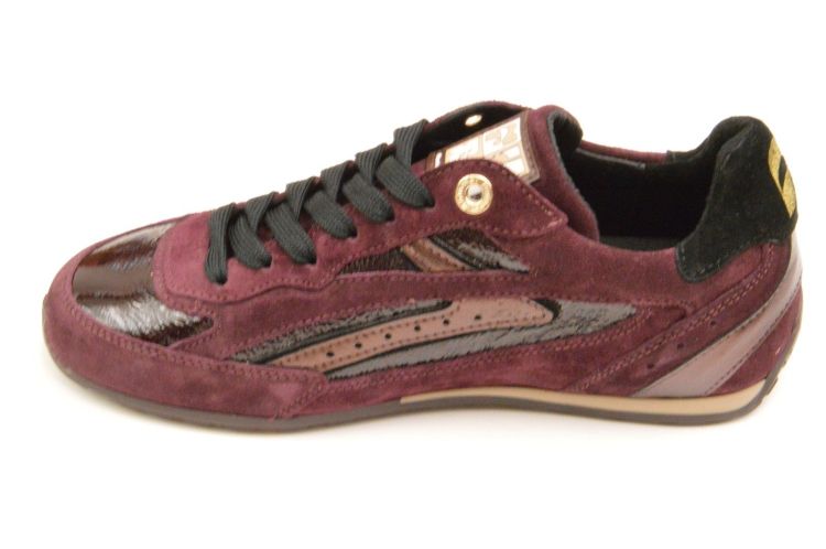Floris Van Bommel sneaker (sfw-10150-81-01 iiivi) - Schoenen New Van Herck (Turnhout)