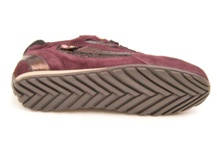 Floris Van Bommel sneaker (sfw-10150-81-01 iiivi) - Schoenen New Van Herck (Turnhout)