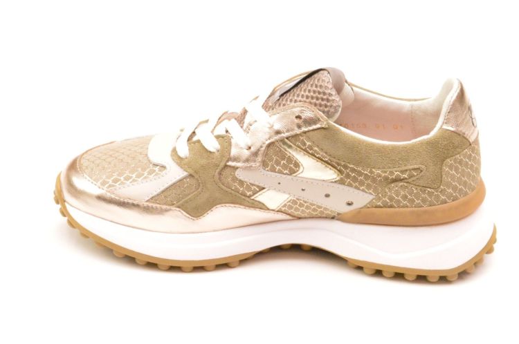 Floris Van Bommel sneaker (sfw-10153-91-01 noppi) - Schoenen New Van Herck (Turnhout)