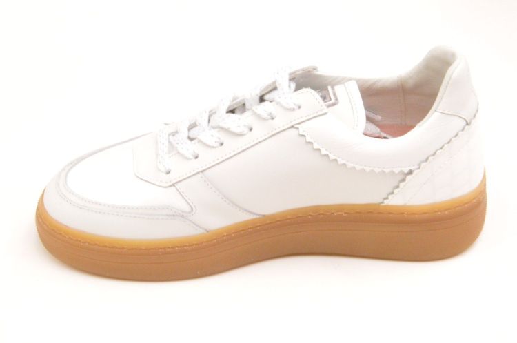 Floris Van Bommel sneaker (sfw-10158-60-02 fygi) - Schoenen New Van Herck (Turnhout)