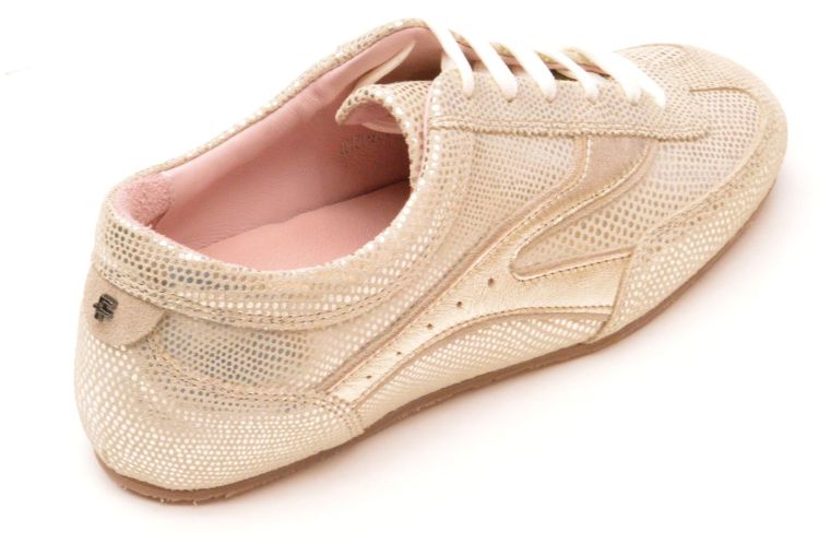 Floris Van Bommel sneaker (SFW-10161-91-01 Aimi) - Schoenen New Van Herck (Turnhout)