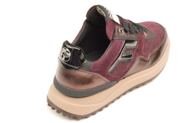 Floris Van Bommel sneaker (sfw-10170-84-01 noppi) - Schoenen New Van Herck (Turnhout)
