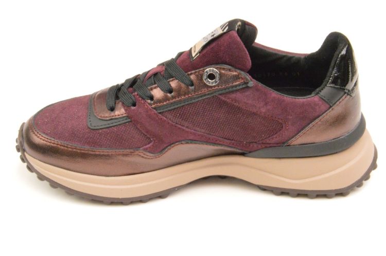 Floris Van Bommel sneaker (sfw-10170-84-01 noppi) - Schoenen New Van Herck (Turnhout)