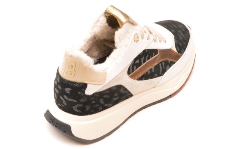 Floris Van Bommel sneaker+ wol (sfw-10138-60-01 suvi) - Schoenen New Van Herck (Turnhout)