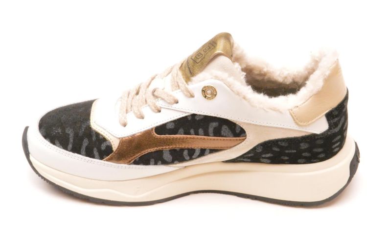 Floris Van Bommel sneaker+ wol (sfw-10138-60-01 suvi) - Schoenen New Van Herck (Turnhout)