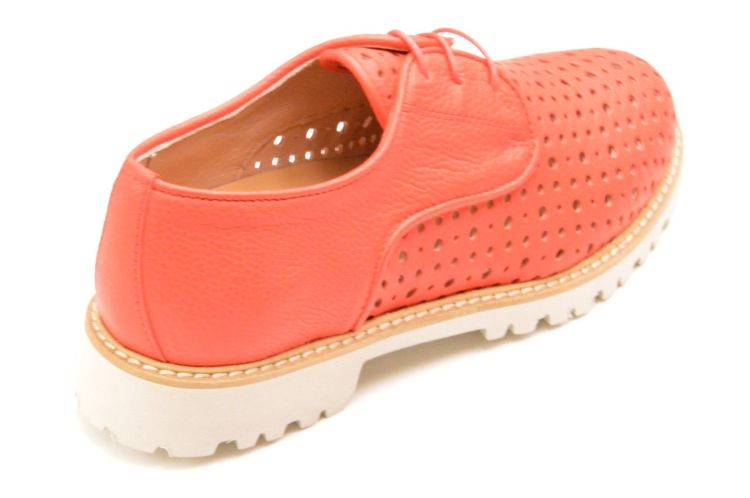 Fratelli Rosana geperforeerd (853) - Schoenen New Van Herck (Turnhout)