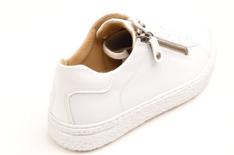 Hartjes effen + rits (162.1409/99 02 02 phil) - Schoenen New Van Herck (Turnhout)