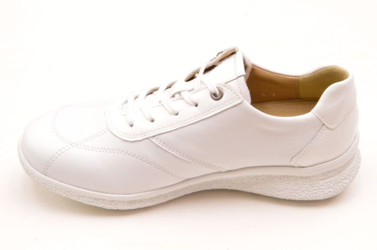 Hartjes + rits (162.1602/99 02 02 rap) - Schoenen New Van Herck (Turnhout)