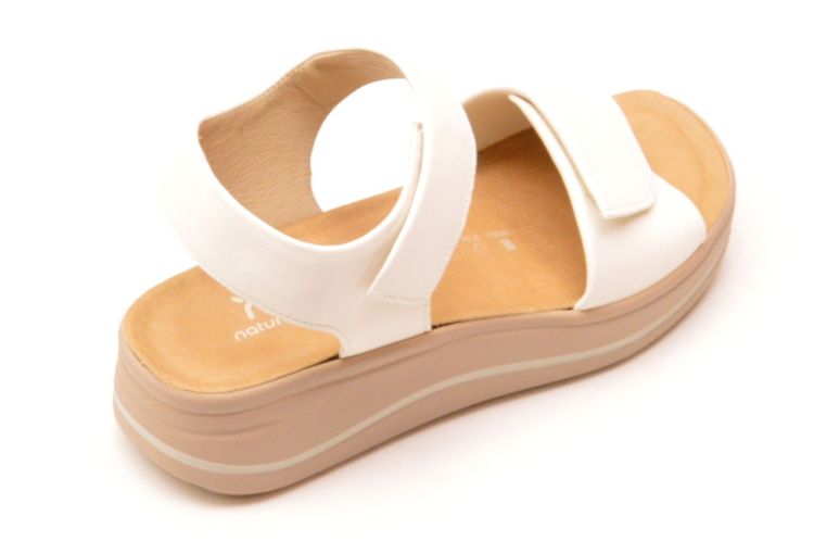 Hartjes + velkro (132.2002/10 02 00 woogie) - Schoenen New Van Herck (Turnhout)