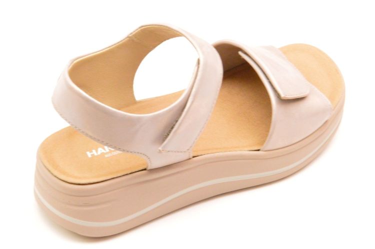 Hartjes + velkro (132.2002/40 98 00 woogie) - Schoenen New Van Herck (Turnhout)