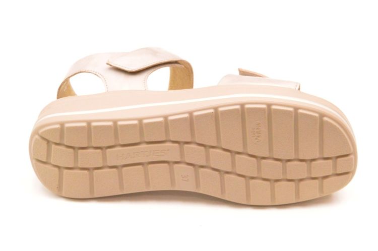 Hartjes + velkro (132.2002/40 98 00 woogie) - Schoenen New Van Herck (Turnhout)