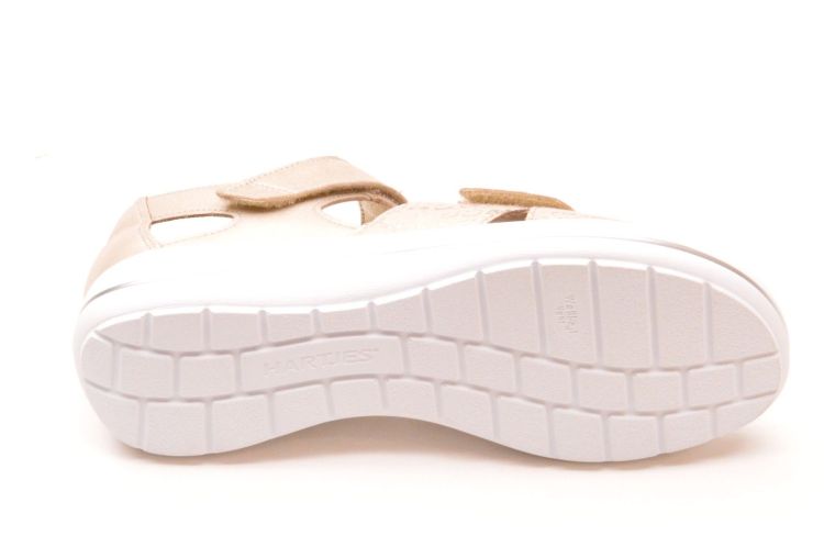 Hartjes + velkro (132.2101/41 40 40 pop) - Schoenen New Van Herck (Turnhout)