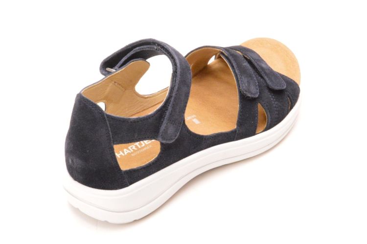 Hartjes + velkro (132.2104/30 47 00 pop) - Schoenen New Van Herck (Turnhout)