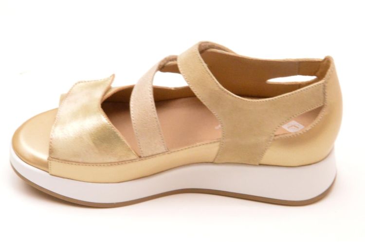 Pie Santo + velkro (250430) - Schoenen New Van Herck (Turnhout)