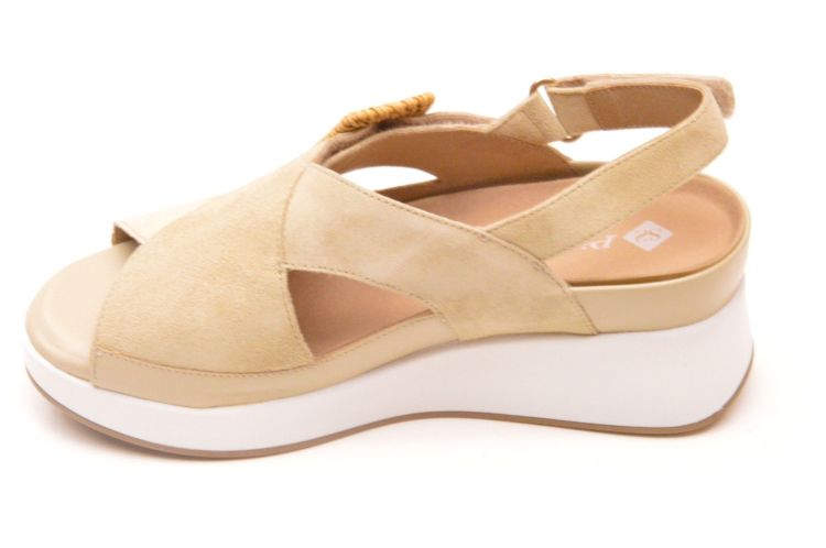 Pie Santo + velkro (260383) - Schoenen New Van Herck (Turnhout)