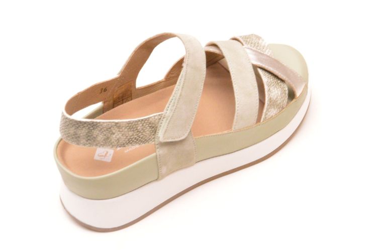 Pie Santo + velkro (260424) - Schoenen New Van Herck (Turnhout)