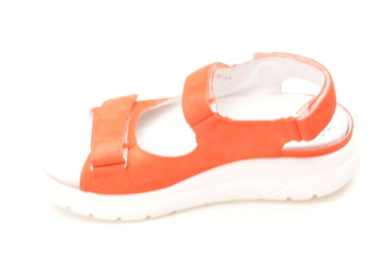 SANO afrolzool  (norine 3654) - Schoenen New Van Herck (Turnhout)