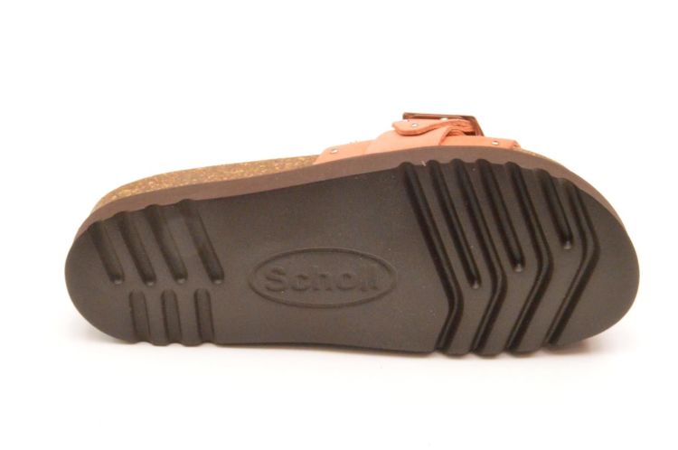 Scholl 1 gesp + studs (F32243/1209) - Schoenen New Van Herck (Turnhout)