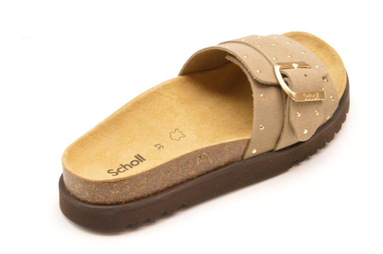 Scholl 1 gesp + studs (F32243/2361) - Schoenen New Van Herck (Turnhout)