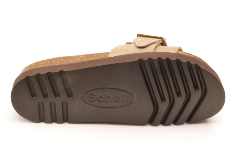 Scholl 1 gesp + studs (F32243/2361) - Schoenen New Van Herck (Turnhout)