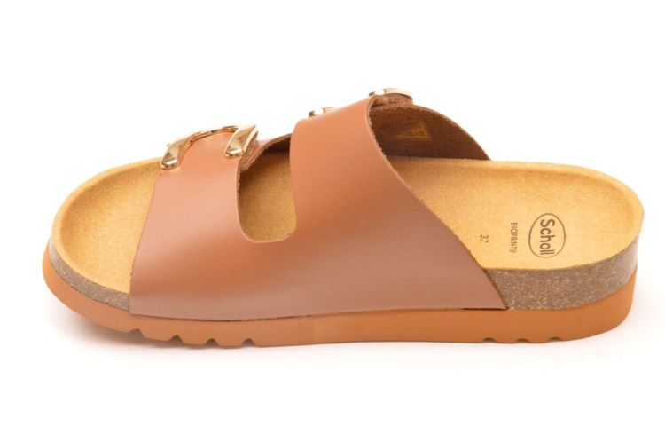 Scholl 2 velkro (F00773 monterey 2 straps) - Schoenen New Van Herck (Turnhout)