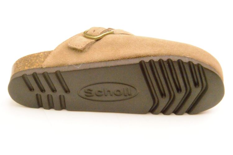 Scholl + gesp + wol (F31810 fae new F) - Schoenen New Van Herck (Turnhout)