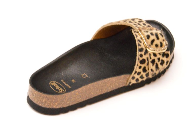 Scholl kurkvoetbed + 1 gesp (F30064 katleen) - Schoenen New Van Herck (Turnhout)