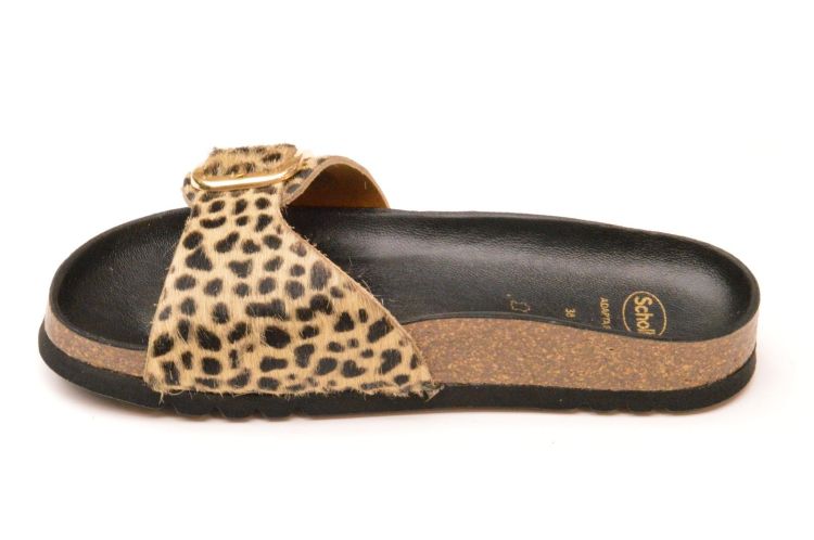 Scholl kurkvoetbed + 1 gesp (F30064 katleen) - Schoenen New Van Herck (Turnhout)