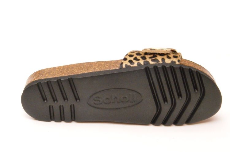 Scholl kurkvoetbed + 1 gesp (F30064 katleen) - Schoenen New Van Herck (Turnhout)