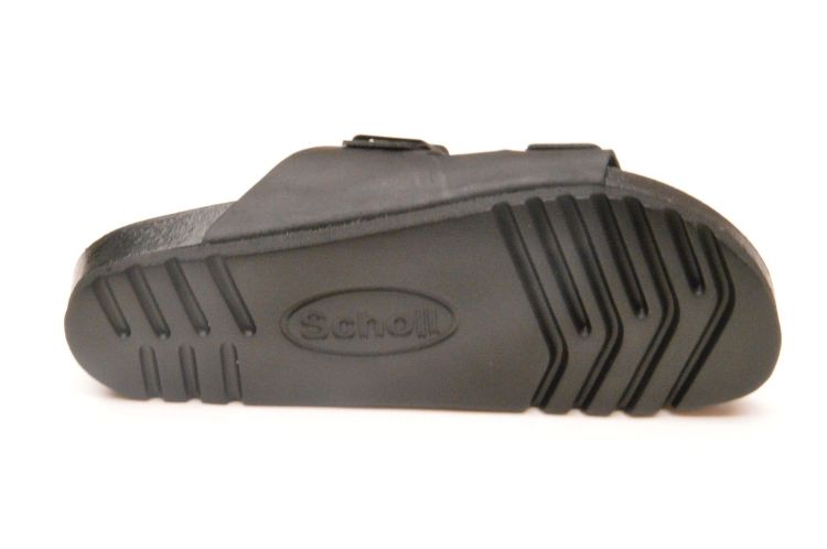 Scholl kurkvoetbed + 2 gespen (F00651 julien) - Schoenen New Van Herck (Turnhout)