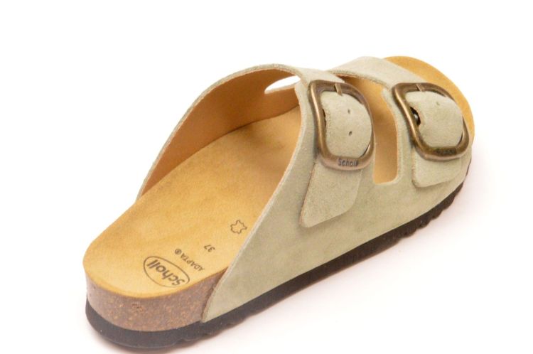 Scholl kurkvoetbed + 2 gespen (F00734 noelle) - Schoenen New Van Herck (Turnhout)