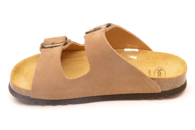 Scholl kurkvoetbed + 2 gespen (F00734 noelle) - Schoenen New Van Herck (Turnhout)