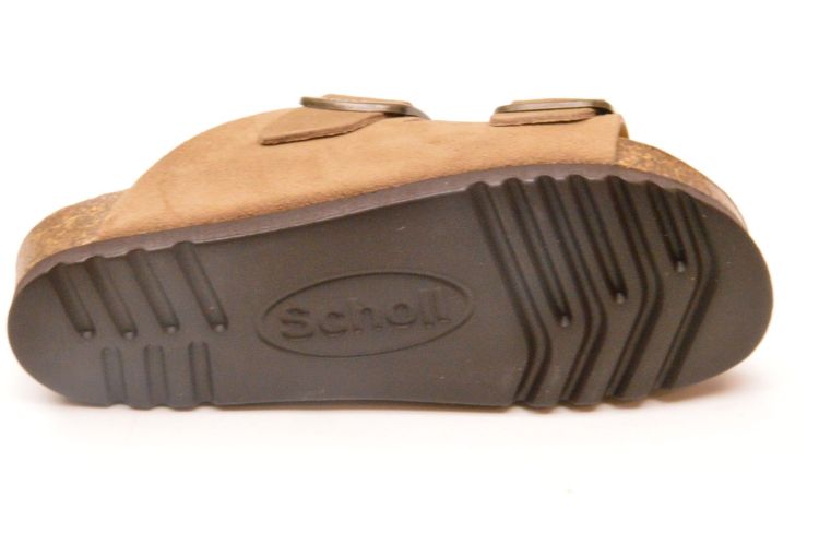 Scholl kurkvoetbed + 2 gespen (F00734 noelle) - Schoenen New Van Herck (Turnhout)