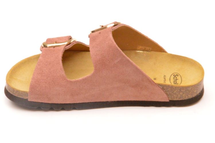 Scholl kurkvoetbed + 2 gespen (F00734 noelle) - Schoenen New Van Herck (Turnhout)