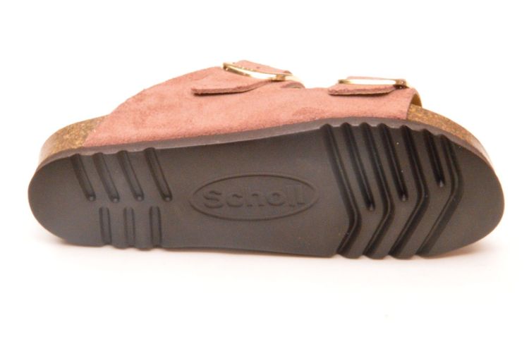 Scholl kurkvoetbed + 2 gespen (F00734 noelle) - Schoenen New Van Herck (Turnhout)