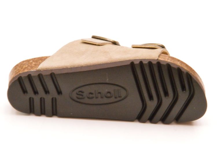 Scholl kurkvoetbed + 2 gespen (F32165 josephine) - Schoenen New Van Herck (Turnhout)