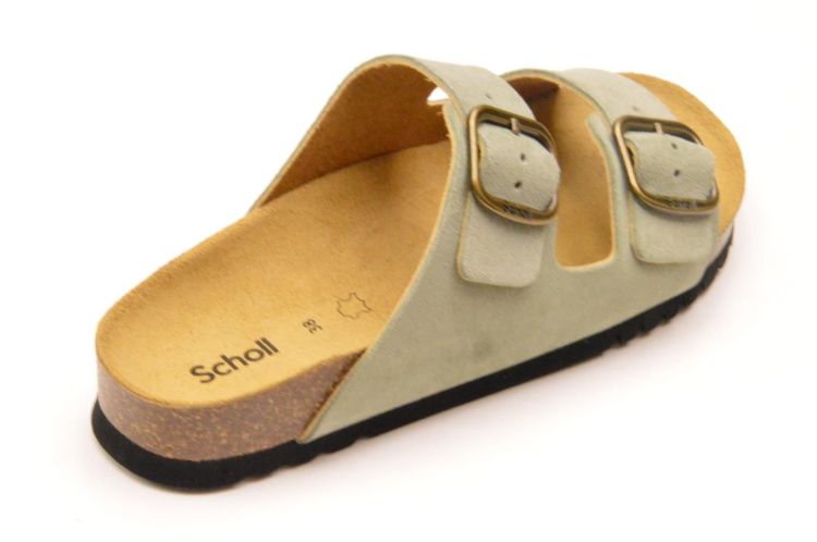 Scholl kurkvoetbed + 2 gespen (F32165 josephine) - Schoenen New Van Herck (Turnhout)